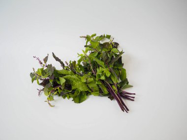 Bitki temelli iyileştirme görselleri, mutfak çizimleri ya da bütünsel bitkisel medya sunumları için tasarlanmış gevşek Tayland fesleğeni filizi