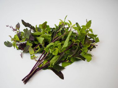 Yaprak ve çiçek içeren tam fesleğen filizi gıda markalaşması veya organik takviye tasarımı için beyaz stüdyo arka planına yerleştirildi