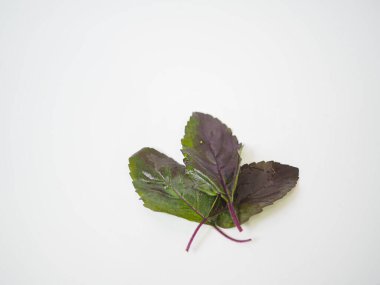  Tek mor fesleğen yaprağı ve çiçek kümesinin parlak görüntüsü vegan mutfak görselleri için kaydedildi.