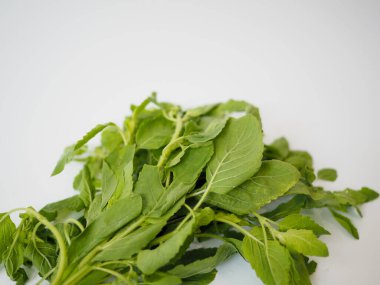 Yumuşak dokuları olan kutsal fesleğen, mor yaprak kümesi ve yiyeceklerde ya da bitkisel zenginlik markalaşmasında kullanmak üzere yukarıdan alınan canlı detaylar.