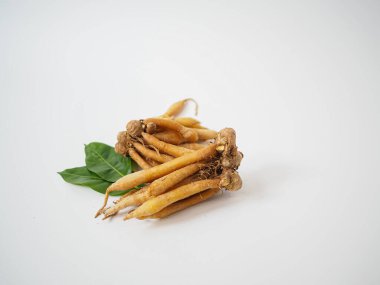 Taze bitkisel besin bileşimine özel garnitür yaprağıyla dengeli bir kök yığını..