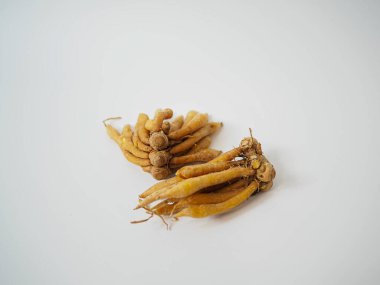 Kırsal kök dokuları detoks dostu organik üretimi temsil eden doğal parmak kökü iğnesi..