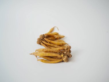 Tayland mutfağı ve bitkisel eğitim içeriği için kullanılan temiz ışıklandırma ile Rhizome bitki kökü demeti.