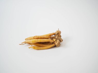 Tayland bitkisel ürünlerinin görsel kimliği için düzgün gruplandırılmış uçlu parmak kökleri..