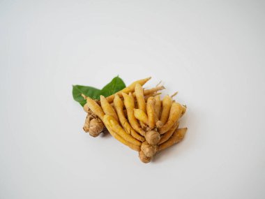 Dokulu yüzeyi olan parmak kökleri bitki ve baharat promosyonları için çapraz yerleştirilmiş.