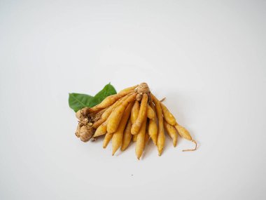 Yeşil yaprak aksanlı bitkisel kökler sağlıklı gıdalar için hafif stüdyo ışıklarıyla çekiliyor..