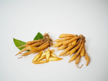 Beyaz stüdyo arka planında geleneksel Tayland bitkisel estetiğine sahip yapraklı filiz demeti..