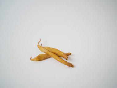 Temiz ürün gösterim ortamında üst üste binen eğrilerle parmak kökünün botanik bileşimi.