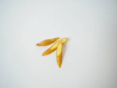 Modern şifalı bitki tasarımı için negatif alana yerleştirilmiş izole edilmiş kök stokları..