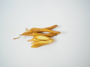 Boyut ve organik büyüme çizgileri çeşitliliğini göstermek için fan biçiminde düzenlenmiş ham parmak kökleri.