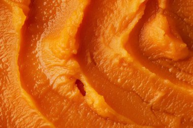 Taze havuç püresi bebek mamasının görüntüsü. Yemek blogu için profesyonel fotoğraf