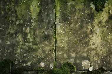 Eski, kumlu, beton yosun kaplı beton duvarın görüntüsü. Arkaplan kullanımı için doku