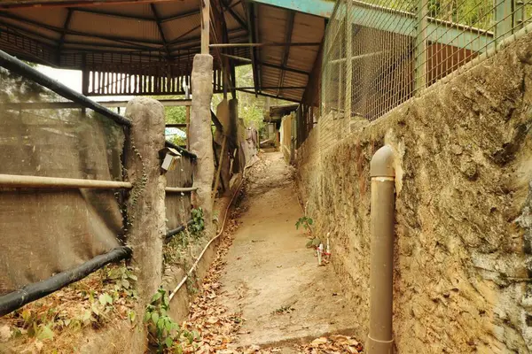 Passageway or corridor at the local zoo, candid horizontal shot.