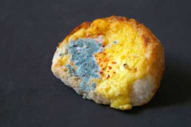 Ekmek israfı, dünyada yiyecek kıtlığı, küresel açlık,