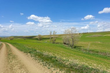 Vahşi yaşam yolu, kara yolu dengeli yol, doğa ve kıvrımlı köy yolu,