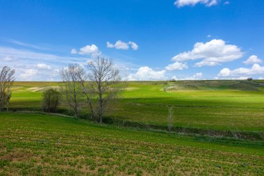 Tarımsal ürünler ve doğal doğa manzarasıyla ekilen tarlalar,