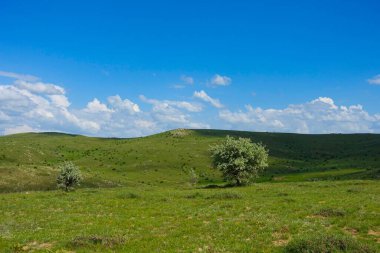siyah ve beyaz ağaç, bulut, plato ve tepe manzarası fotoğrafları, siyah ve beyaz manzara fotoğrafları