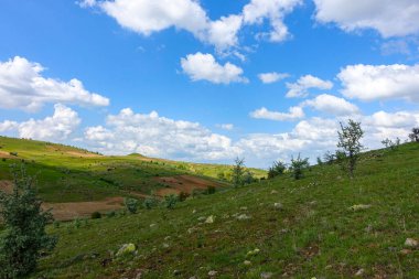 Bulutlu gökyüzü ve yeşil manzara, harika bahar manzarası, yeşil tarla ve tepe manzarası,