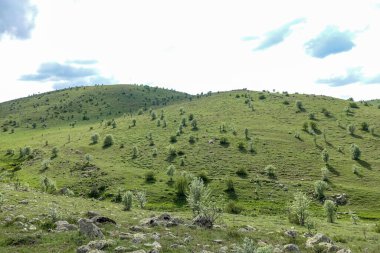 Bulutlu gökyüzü ve yeşil manzara, harika bahar manzarası, yeşil tarla ve tepe manzarası,