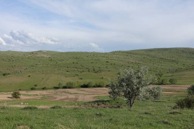 Bulutlu gökyüzü ve yeşil manzara, harika bahar manzarası, yeşil tarla ve tepe manzarası,