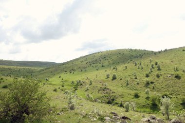Bulutlu gökyüzü ve yeşil manzara, harika bahar manzarası, yeşil tarla ve tepe manzarası,