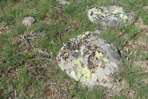 被苔藓覆盖的岩石 被苔藓覆盖的旧岩石 — 图库照片