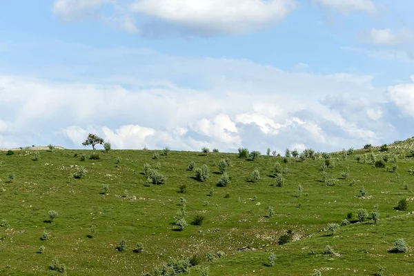 Хмарне Небо Зелений Пейзаж Чудовий Вид Весну Зелене Поле Пагорб — стокове фото