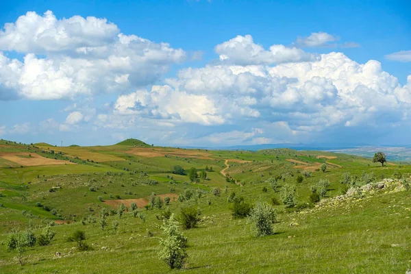 Molnig Himmel Och Grönt Landskap Underbar Vår Utsikt Grönt Fält — Stockfoto