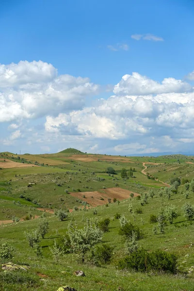 Облачное Небо Зеленый Пейзаж Прекрасные Весенние Виды Зеленое Поле Вид — стоковое фото