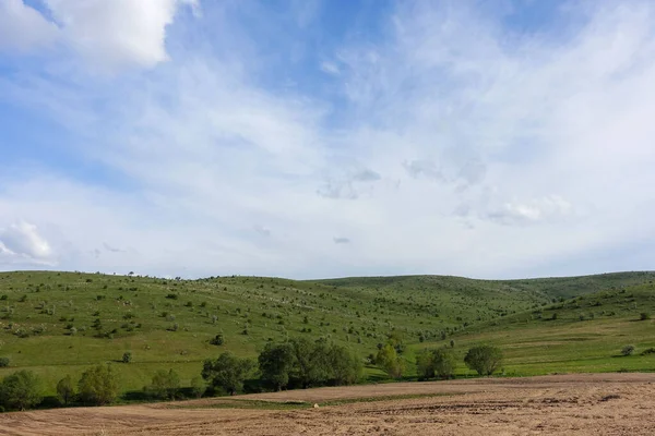 Облачное Небо Зеленый Пейзаж Прекрасные Весенние Виды Зеленое Поле Вид — стоковое фото