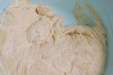 mayalanmış buğday unu hamuru, çiğ hamur yoğurulmuş ve olgunlaştırılmış hamur.,