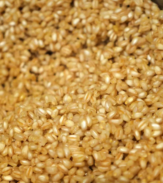 Варені Зерна Пшениці Розділені Зерна Варені Зерна Супу — стокове фото