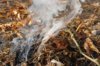 Bahçede yanan bitki atıkları, bahçe bakımı ve temizlik, atık çimenler,