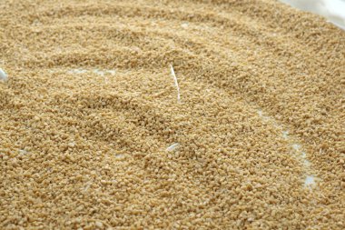 Ev yapımı ve el yapımı doğal hamurlu erişte, yumurtalı erişte küçük parçalara bölünmüş bıçakla.,