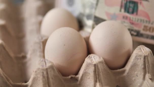 Ovos Caixa Ovos 100 Dólares Nela Implicando Aumento Nos Preços — Vídeo de Stock