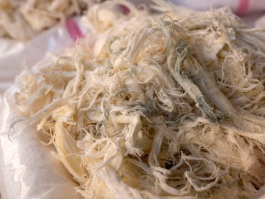 Büyük miktarda Erzurum sivil peyniri, peynircide doğal Chechil peyniri.