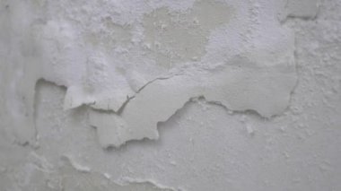 Duvar nemli ve alçı ve boya soyulmaya başlıyor. Küflü duvardaki boya soyulmaya başladı..