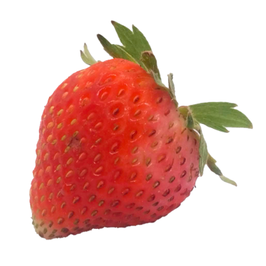  Beyaz arkaplanda çilek