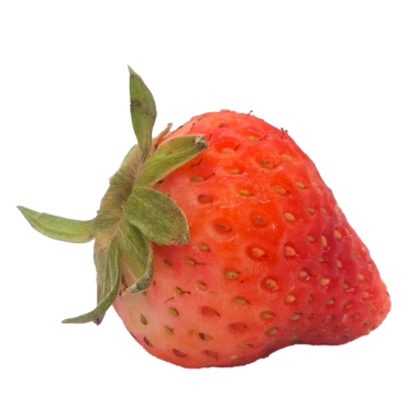  Beyaz arkaplanda çilek