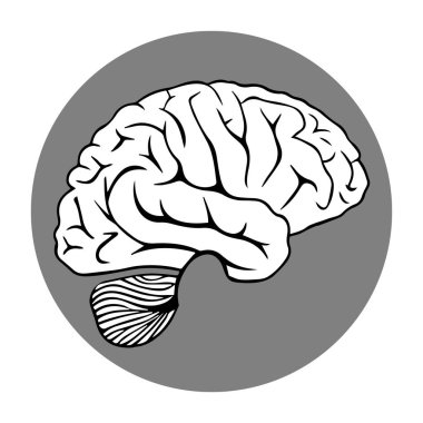 İnsan beyninin sembolü.