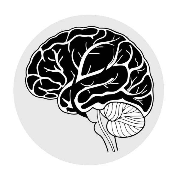 Birçok kırışıklığı olan insan beyni simgesi.