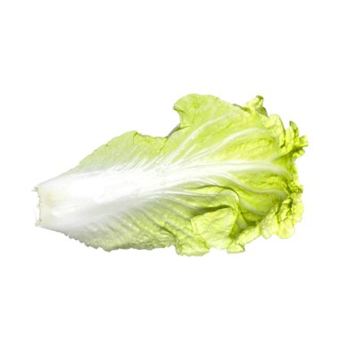 Beyaz arkaplanda kabak izole edilmiş