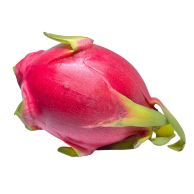 Beyaz arkaplanda Ejder Meyvesi