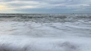  Kumsalda deniz kabuğu