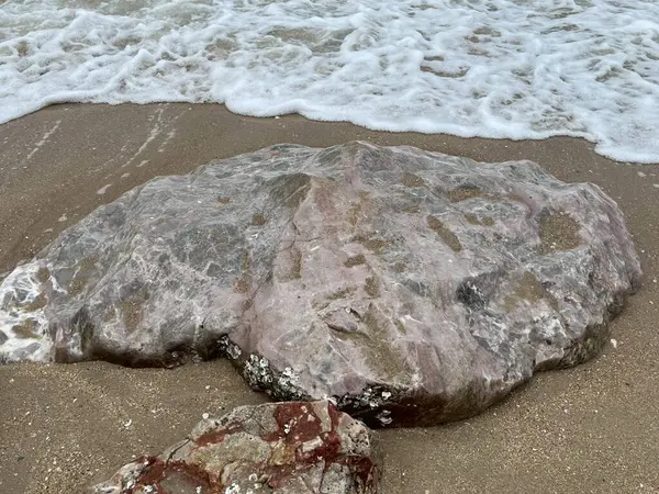 Kıyı dilindeki rock: İngilizce