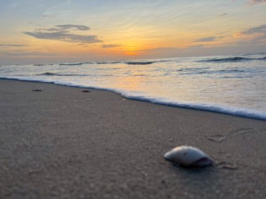  Sabahları deniz ve sahil