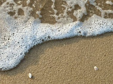 Sahilde dalgalar var.