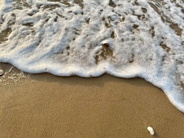 Sahilde dalgalar var.