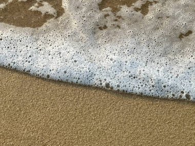 Sahilde dalgalar var.