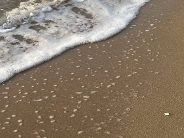 Sahilde dalgalar var.